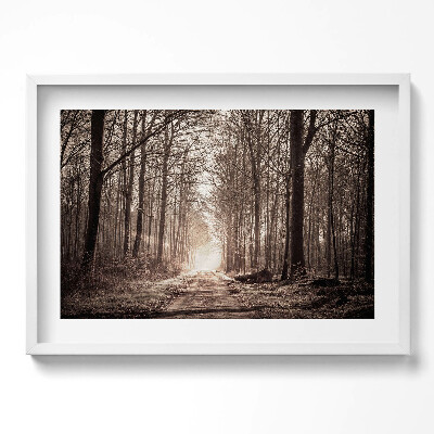 Kép keretben Fás út napfényes táj