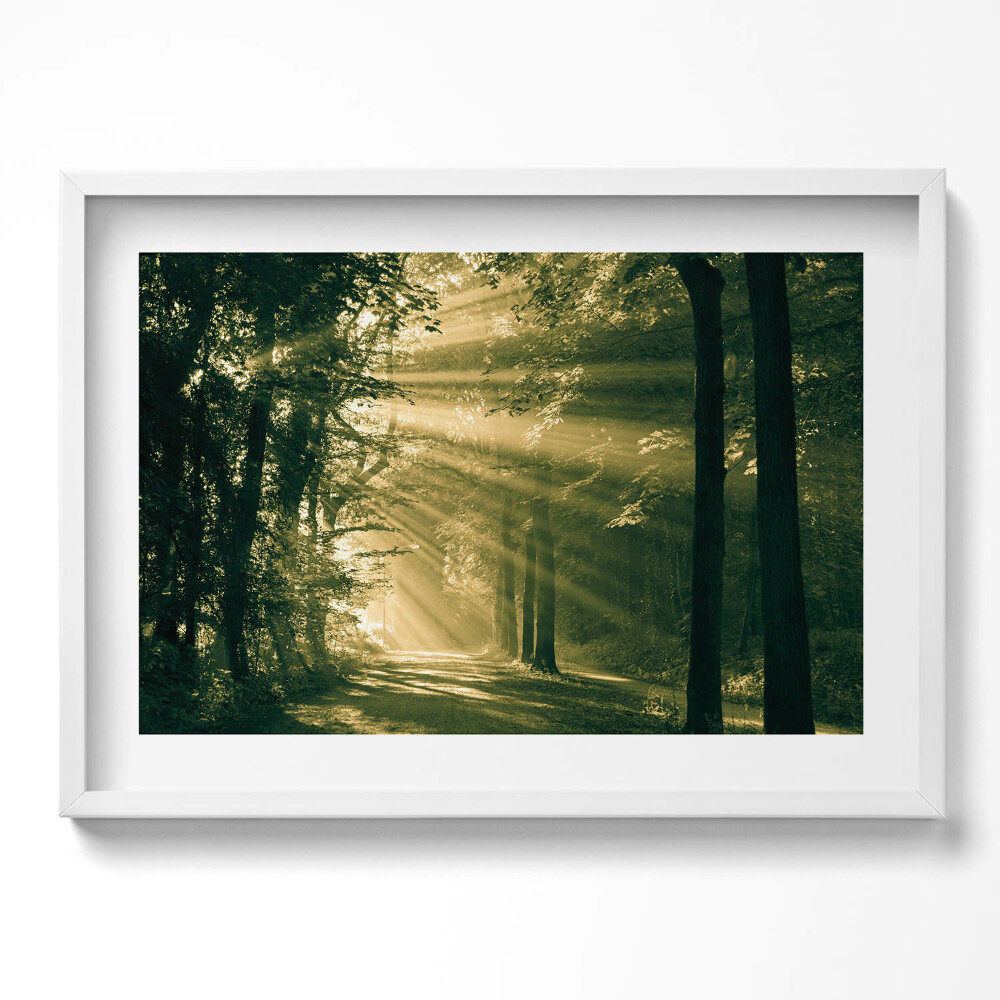 Kép keretben Fényárban úszó erdei ösvény