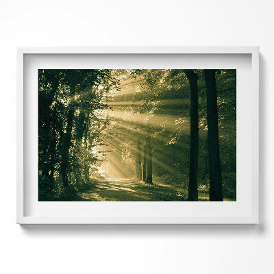 Kép keretben Fényárban úszó erdei ösvény