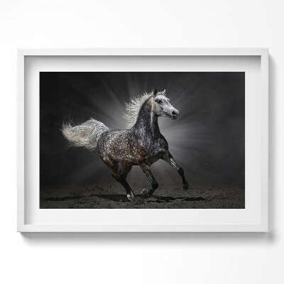 Kép keretben Futó ló fényes háttérrel