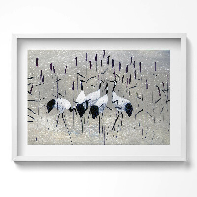 Kép keretben Rózsás gólyák vízparton