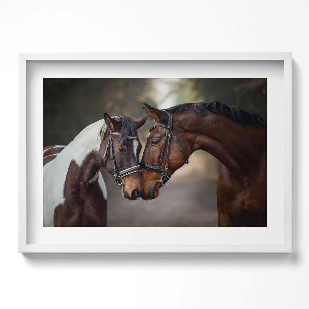 Kép keretben Két ló összeborulása