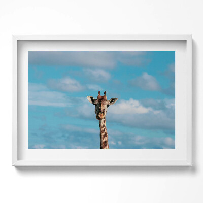 Kép keretben Zsiráf arcképe kék háttérrel