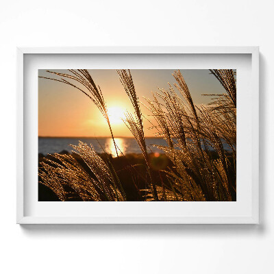 Kép keretben Naplemente fűvel a vízparton