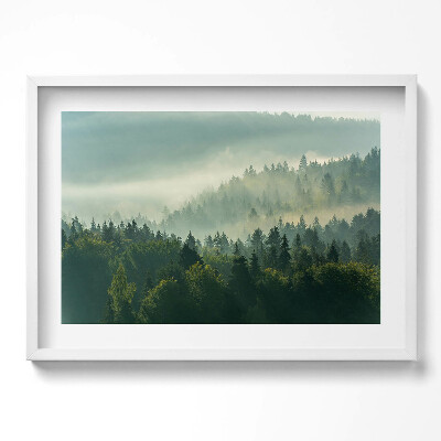 Kép keretben Ködös erdő táj