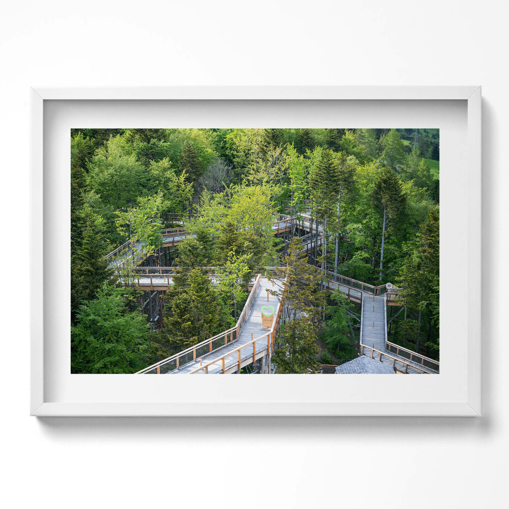 Kép keretben Zöld fák és fapalló