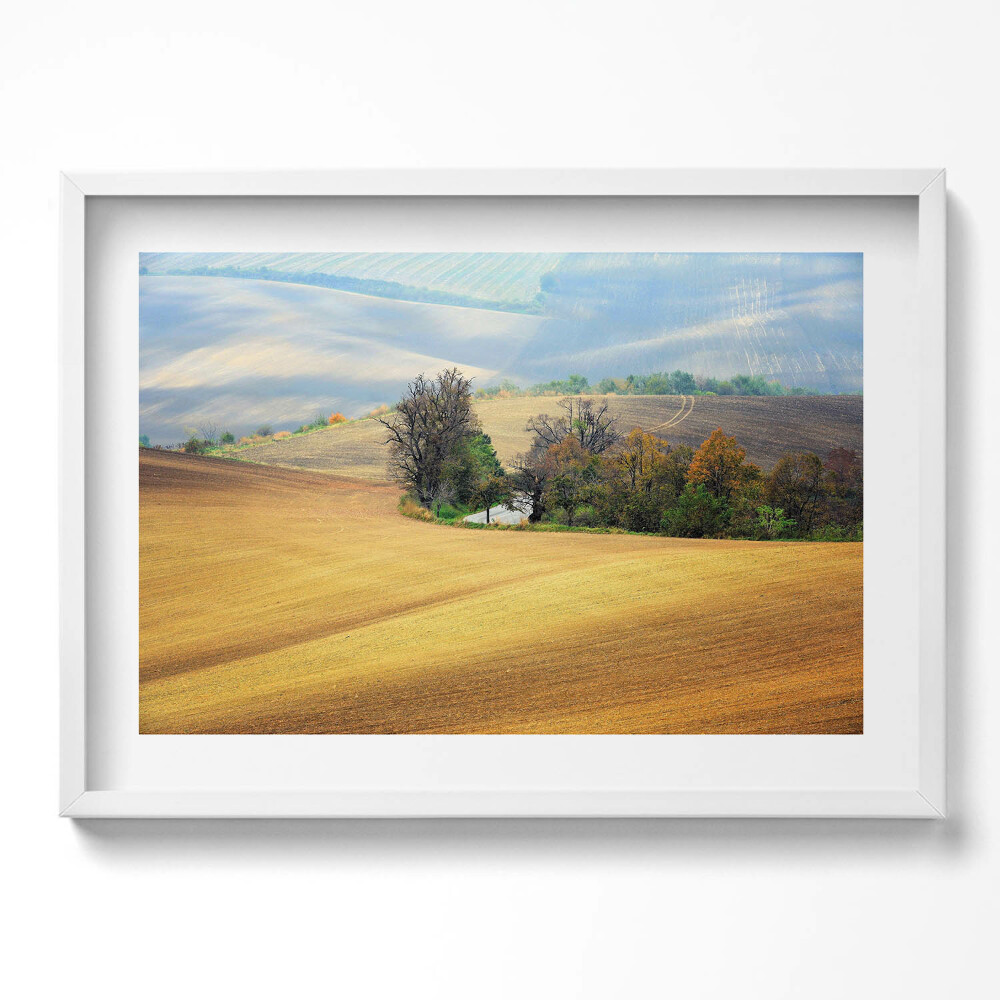 Kép keretben Tavaszi táj fák és vízpart