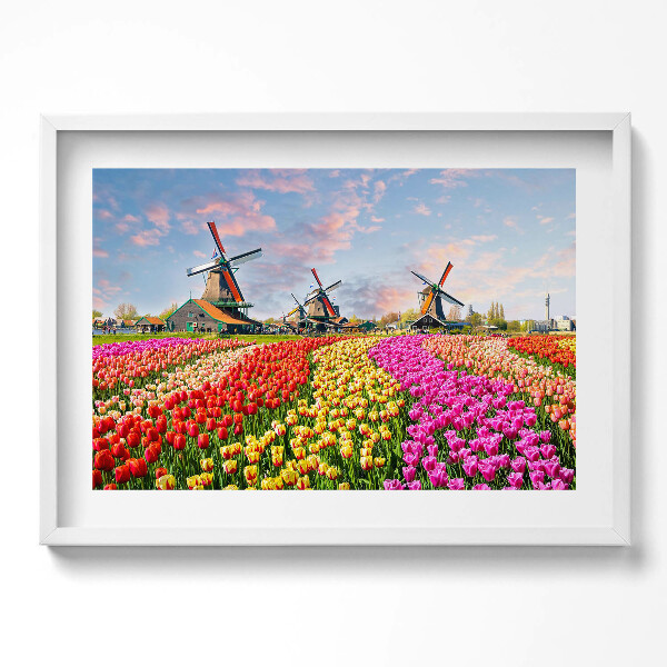 Kép keretben Szélmalmok és virágos mezők