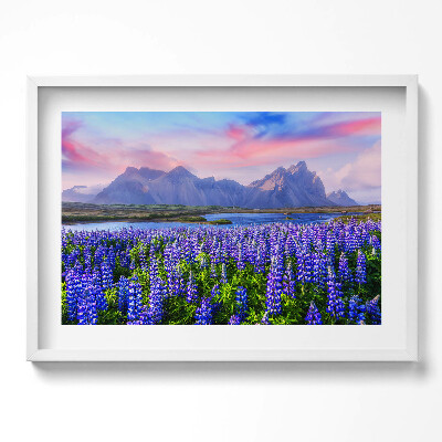 Kép keretben Lepkék és hegyek virágzó mezője