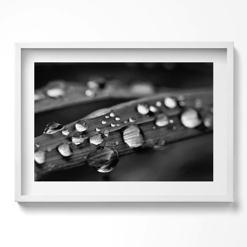 Kép keretben Esőcseppek egy levélen