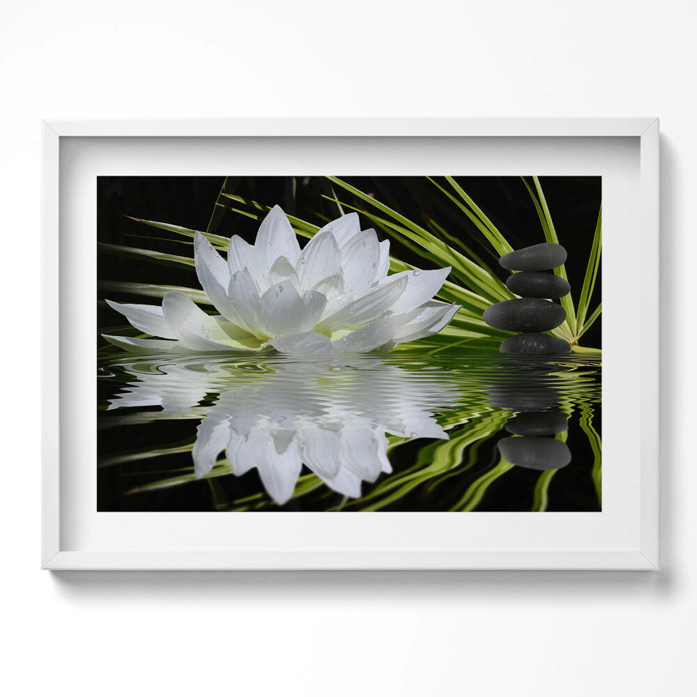 Kép keretben Fehér vízililiom kövek vízfelszín