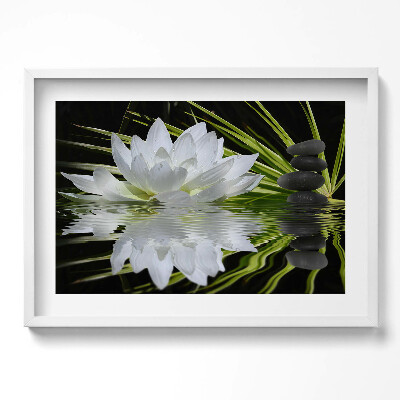 Kép keretben Fehér vízililiom kövek vízfelszín