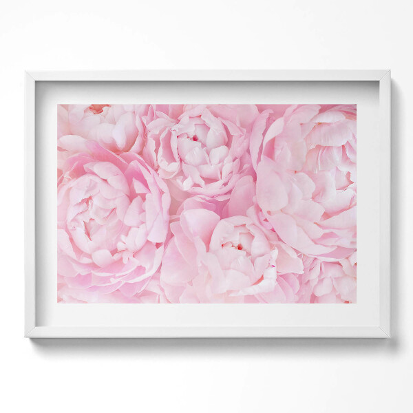 Kép keretben Rózsaszínű pünkösdi rózsák