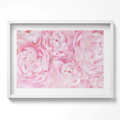 Kép keretben Rózsaszínű pünkösdi rózsák
