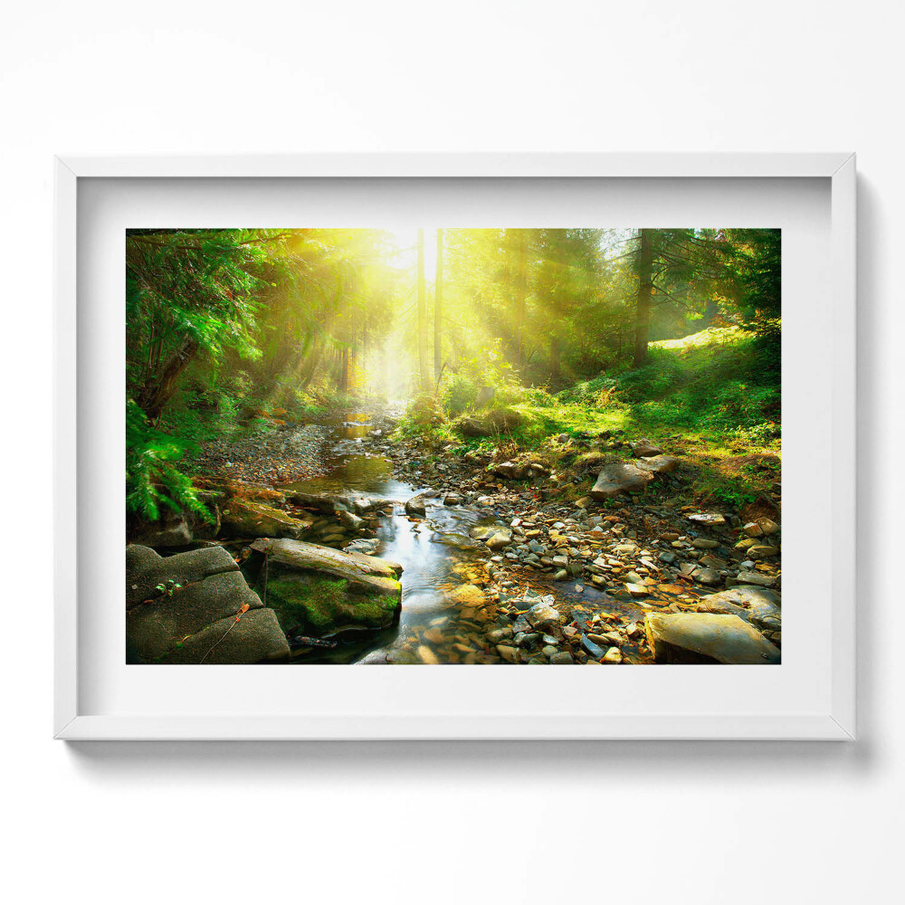 Kép keretben Zöld erdő napfény patak