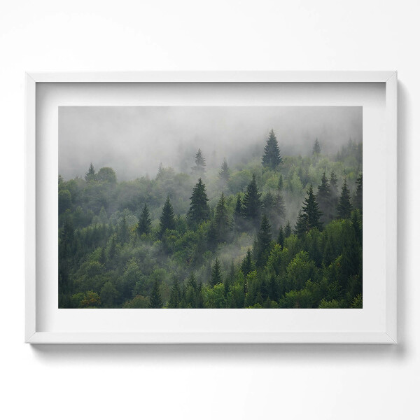 Kép keretben Zöld erdő ködben