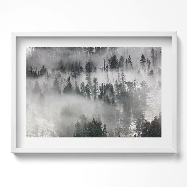Kép keretben Ködös erdő táj