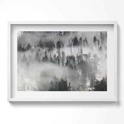 Kép keretben Ködös erdő táj