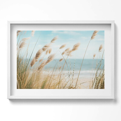Kép keretben Tengerparti nádas világos ég