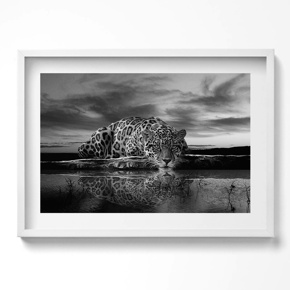 Kép keretben Fekete-fehér leopárd tükörképe