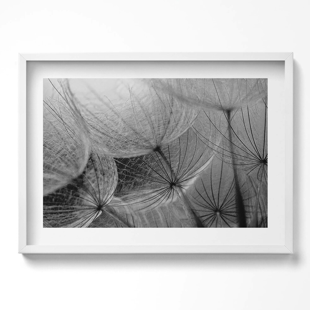 Kép keretben Pálma levelek részletei