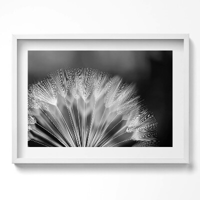 Kép keretben Pálmalevél részlete fekete-fehér