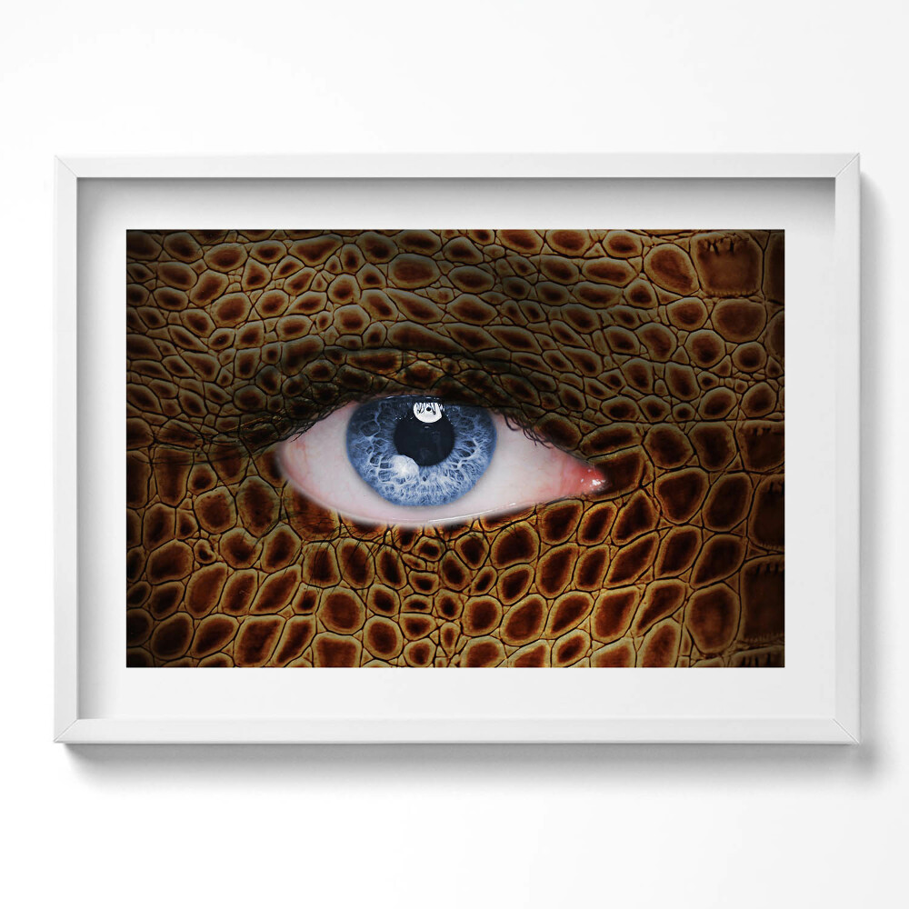 Kép keretben Kígyóbőr és szem motívum