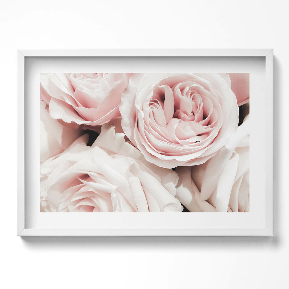 Kép keretben Rózsák finom árnyalatokban