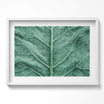 Kép keretben Növényi levél részlete