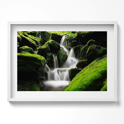 Kép keretben Zöld moha és vízesések