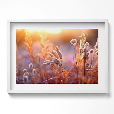 Kép keretben Puha fűszálak napfényben