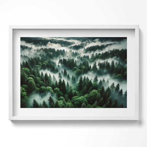 Kép keretben Zöld erdő ködben