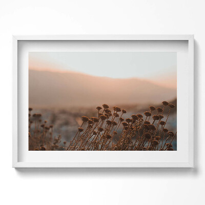 Kép keretben Száradó virágok a háttérben