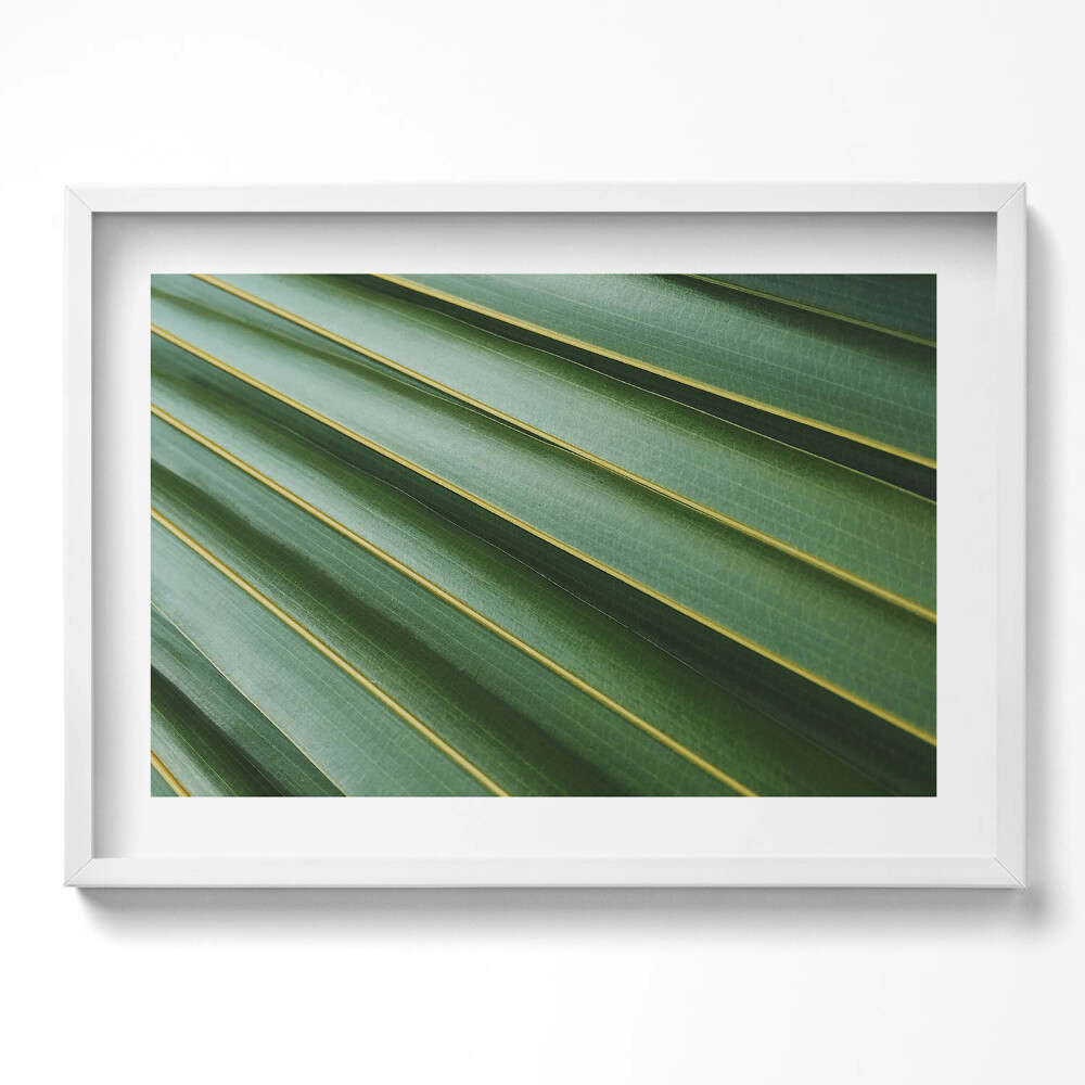 Kép keretben Zöld levelek sávos mintázata