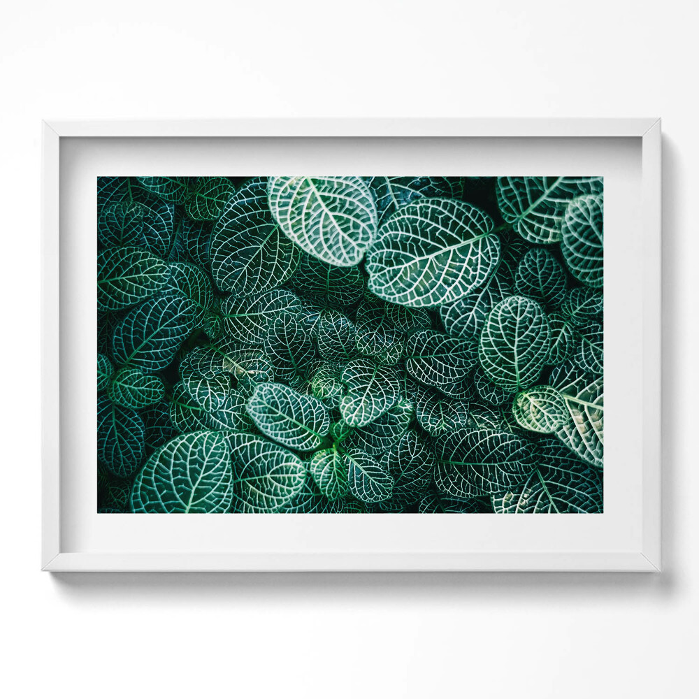 Kép keretben Zöld levelek mintázata