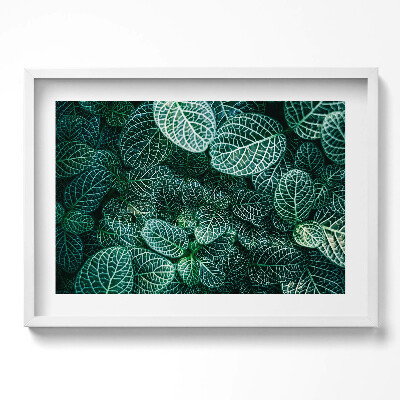 Kép keretben Zöld levelek mintázata