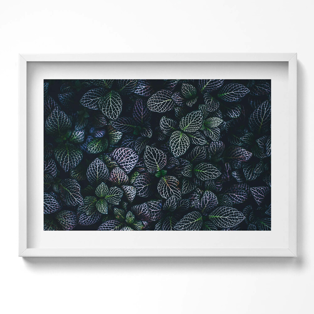 Kép keretben Levélmintás sötét háttér