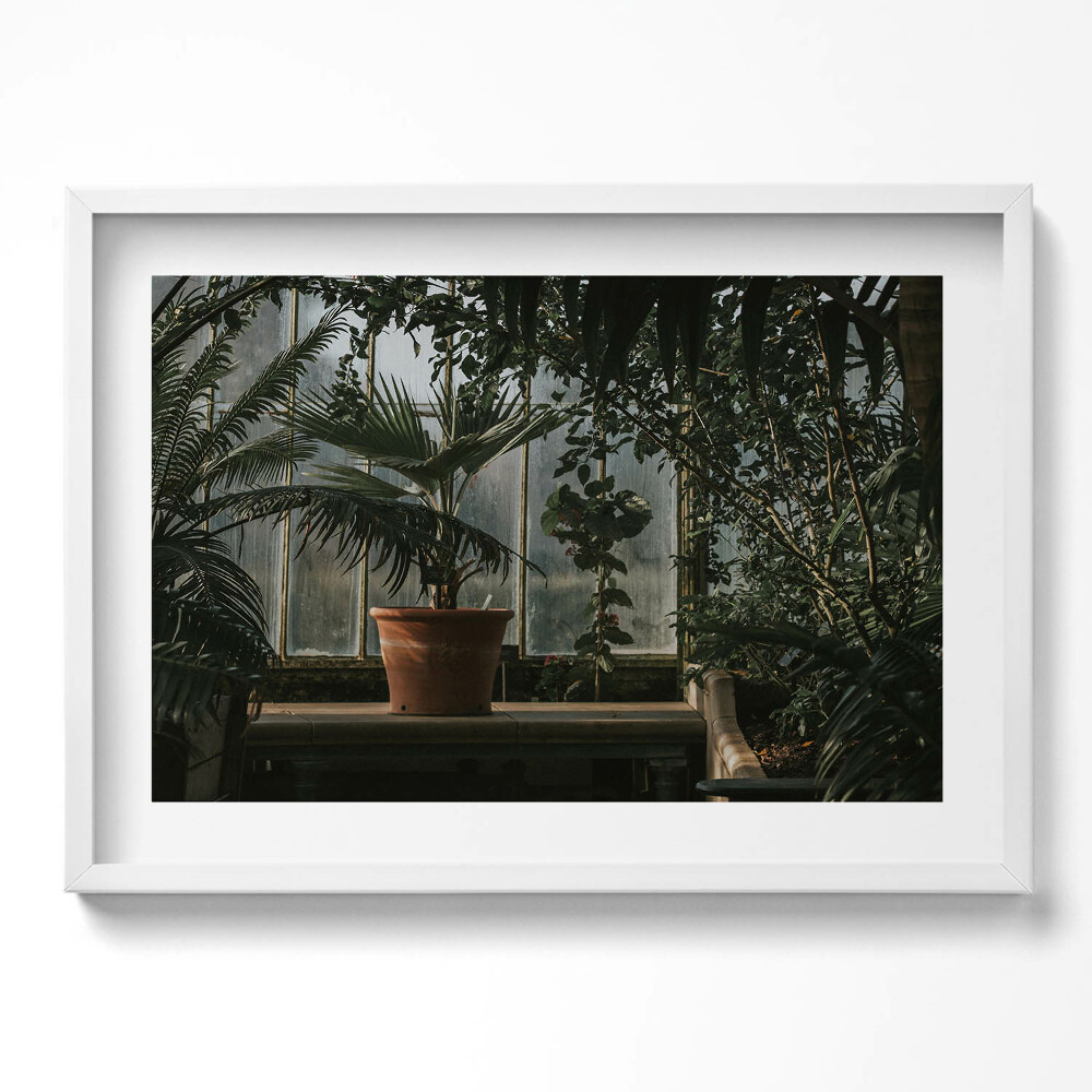 Kép keretben Zöld növények virágcserép világos háttér