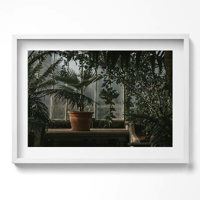 Kép keretben Zöld növények virágcserép világos háttér