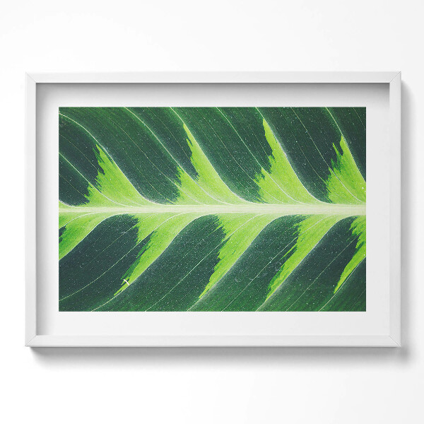 Kép keretben Zöld levél részlete