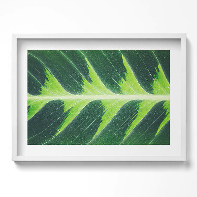 Kép keretben Zöld levél részlete