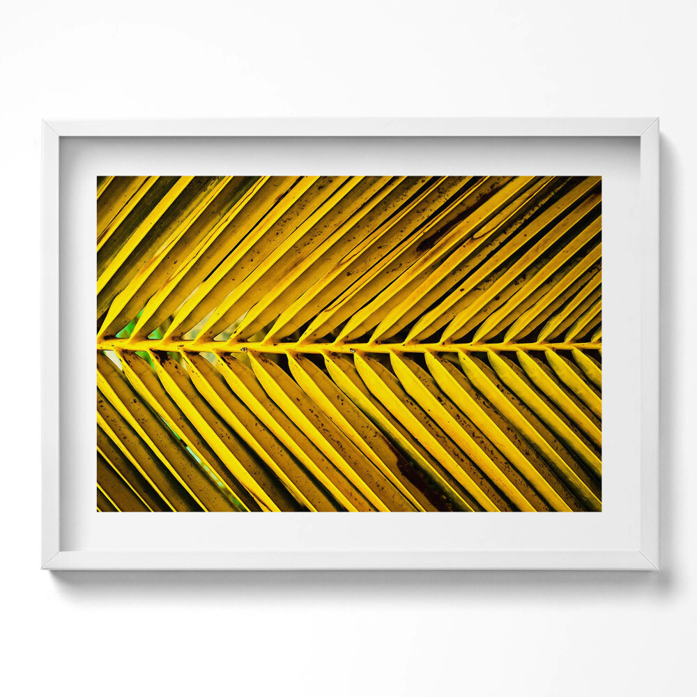 Kép keretben Sárga pálmalevél mintázata