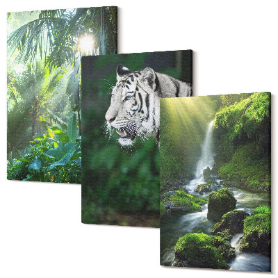 Falikép szett triptichon Dzsungel fehér tigrissel és vad vízeséssel