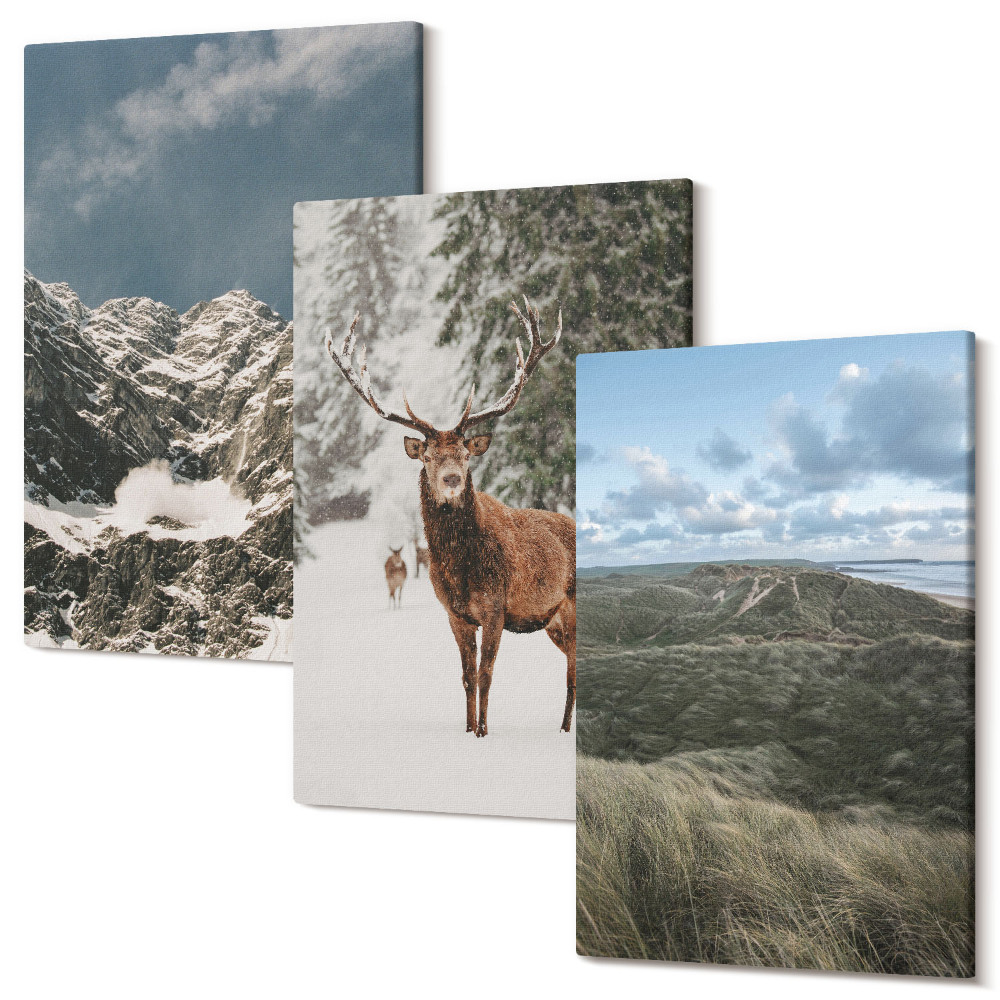 Falikép szett triptichon Hegyek hóval, szarvasok az erdőben, tájak
