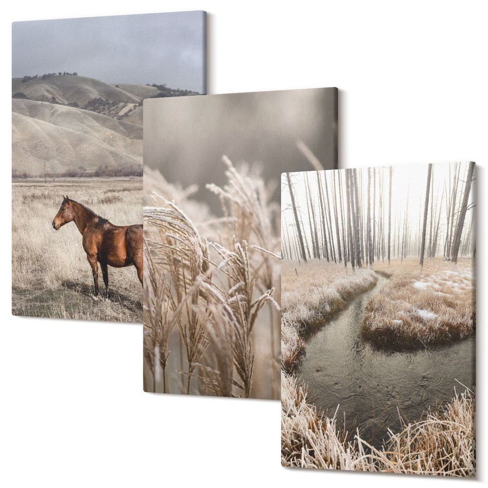 Kép szett triptichon Lovak a fű és a téli patak táján