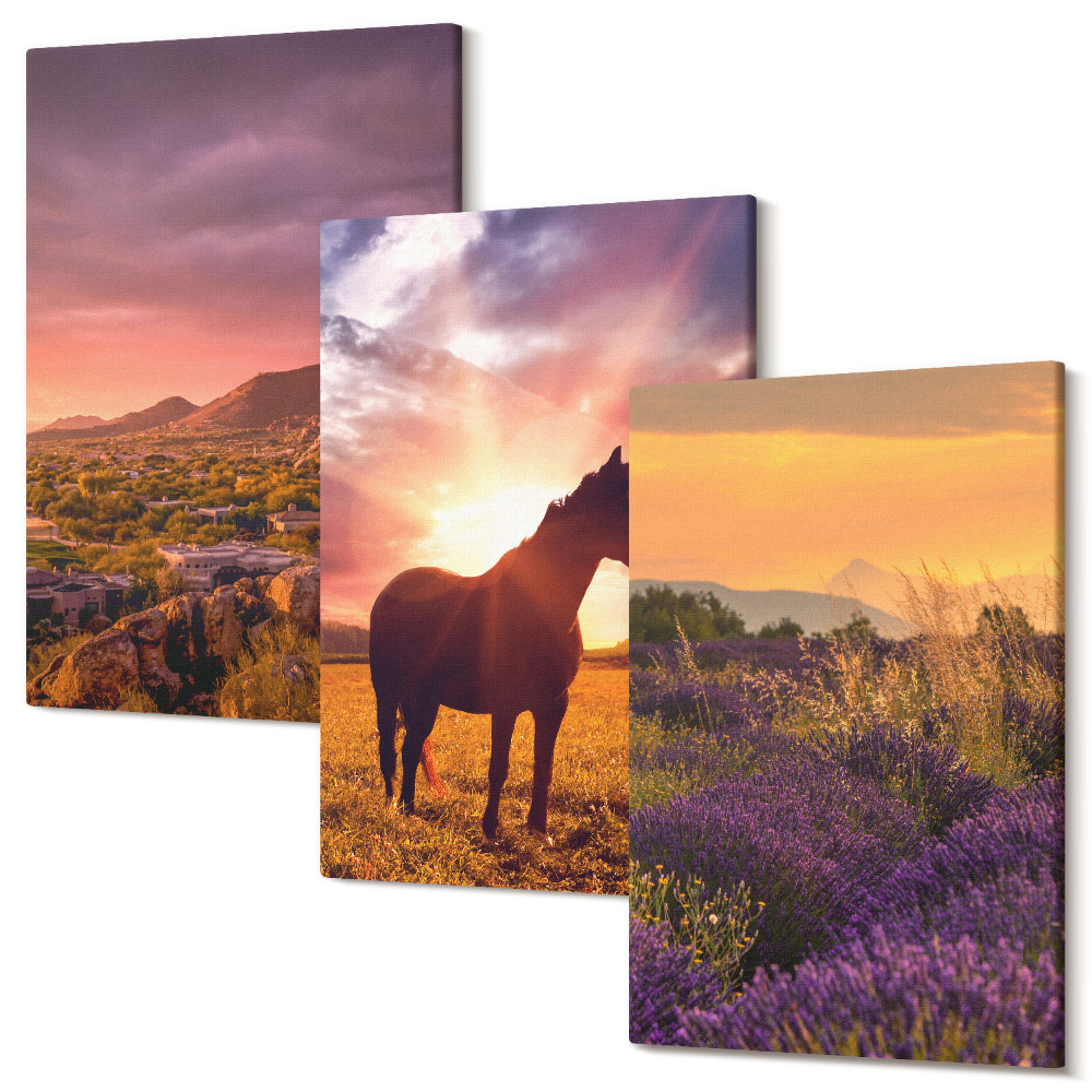 Háromrészes vászonkép szett Hegyi tájak lovakkal és levendulamezőkkel