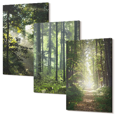Kép szett triptichon Zöld erdők fénysugarakkal és erdei ösvényekkel