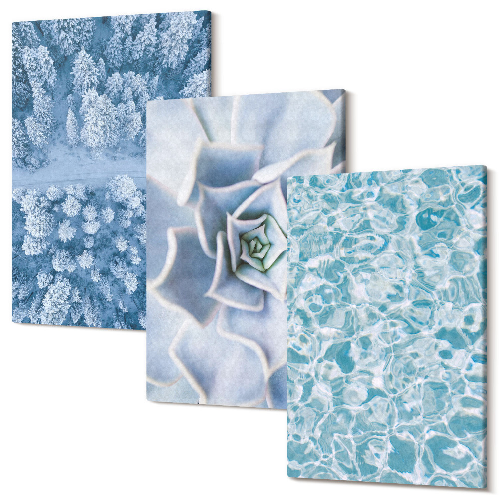 Kép szett triptichon Téli erdő kék virág kék vízfelület