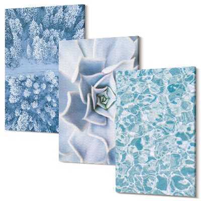 Kép szett triptichon Téli erdő kék virág kék vízfelület