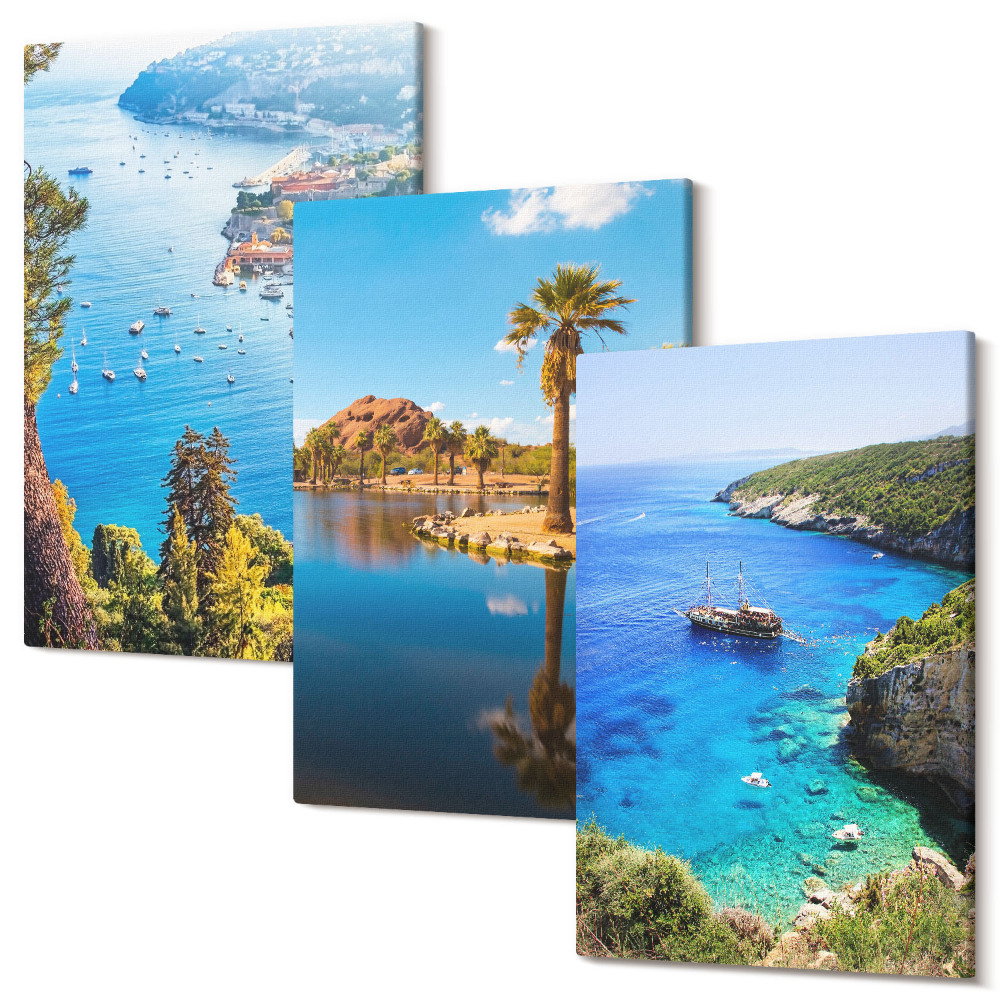 Háromrészes vászonkép szett Tengerparti kilátás pálmafákkal és kék vízzel